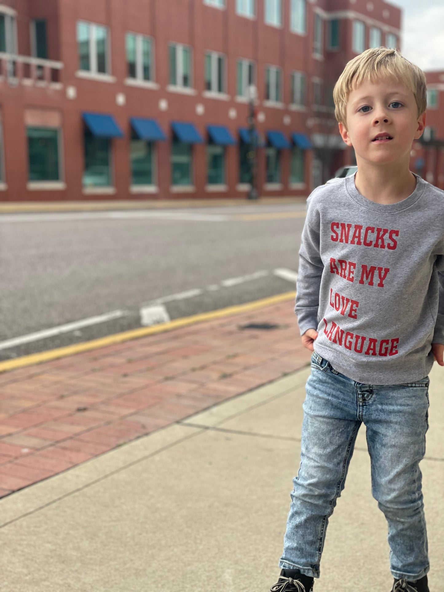 Snacks Are My Love Language | Toddler Sweatshirt | Gray and Red
