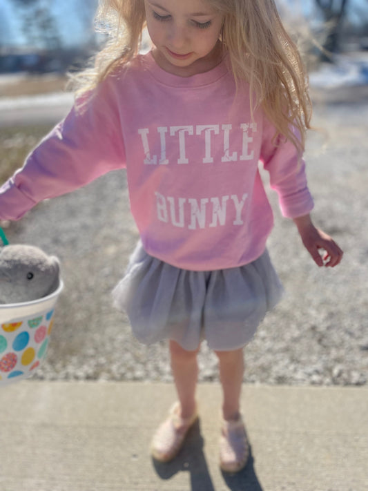 Little Bunny Toddler Sweatshirt- Pink